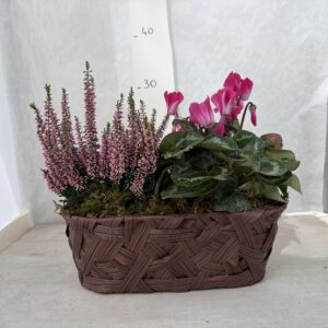 ASSEMBLAGE AUTOMNE T1